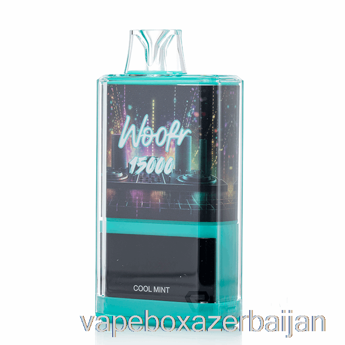Vape Smoke WOOFR 15000 Disposable Cool Mint